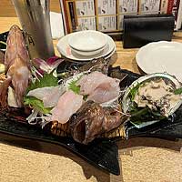 カサゴ活造り